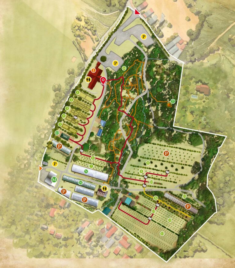 The Green Ark Map The Green Ark Foundation